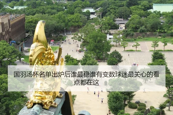 国羽汤杯名单出炉后谁最稳谁有变数球迷最关心的看点都在这